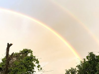 2026年が始まりました。今年もお願いいたします。